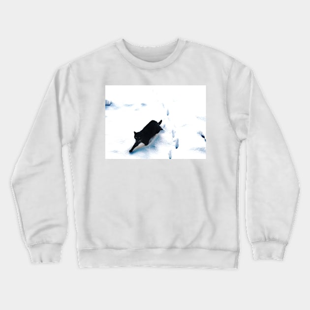 The Intruder Crewneck Sweatshirt by Ladymoose